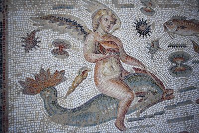 Immagine sconosciuta da Unbekannt Unbekannt